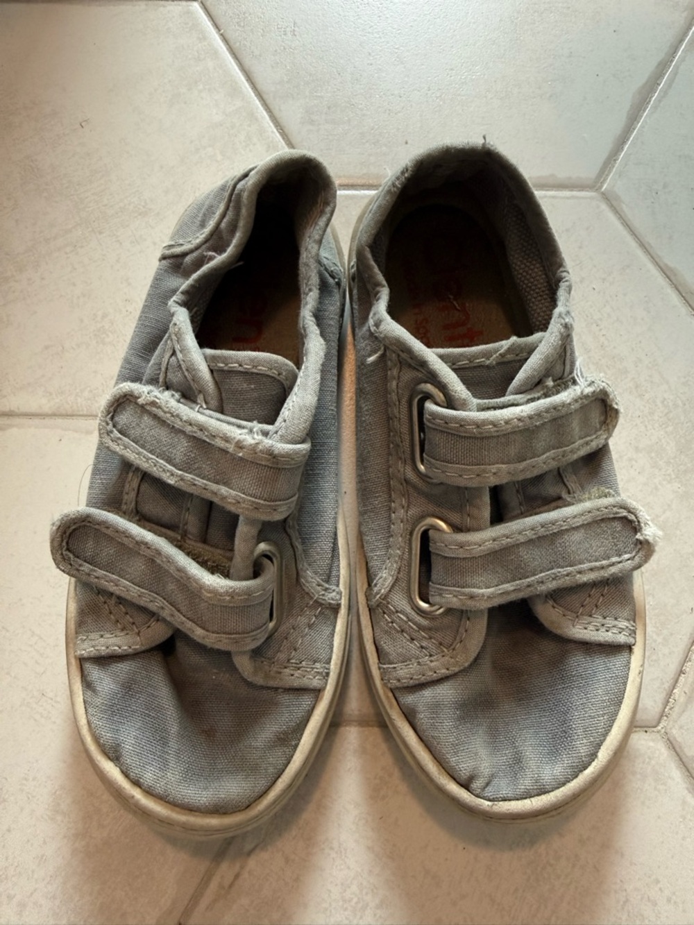 Cienta Gray Canvas Velcro Kids Sneakers